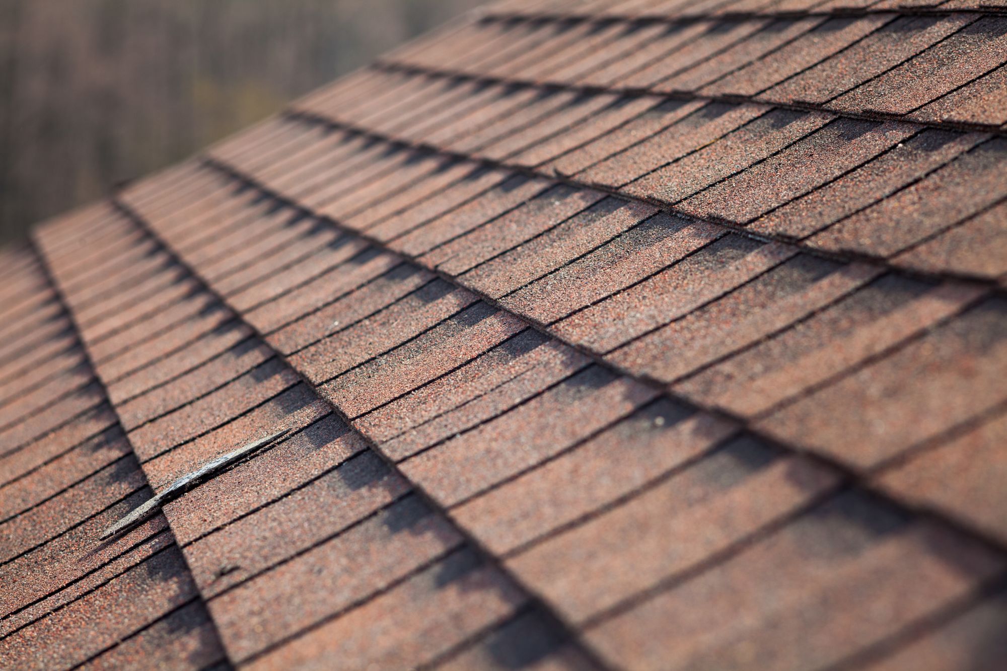 Red Asphalt Shingles On A Contemporary Home