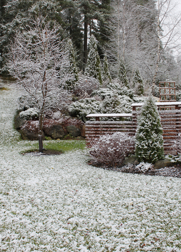 A well pruned garden with evergreens bring beauty to a home all year long. 