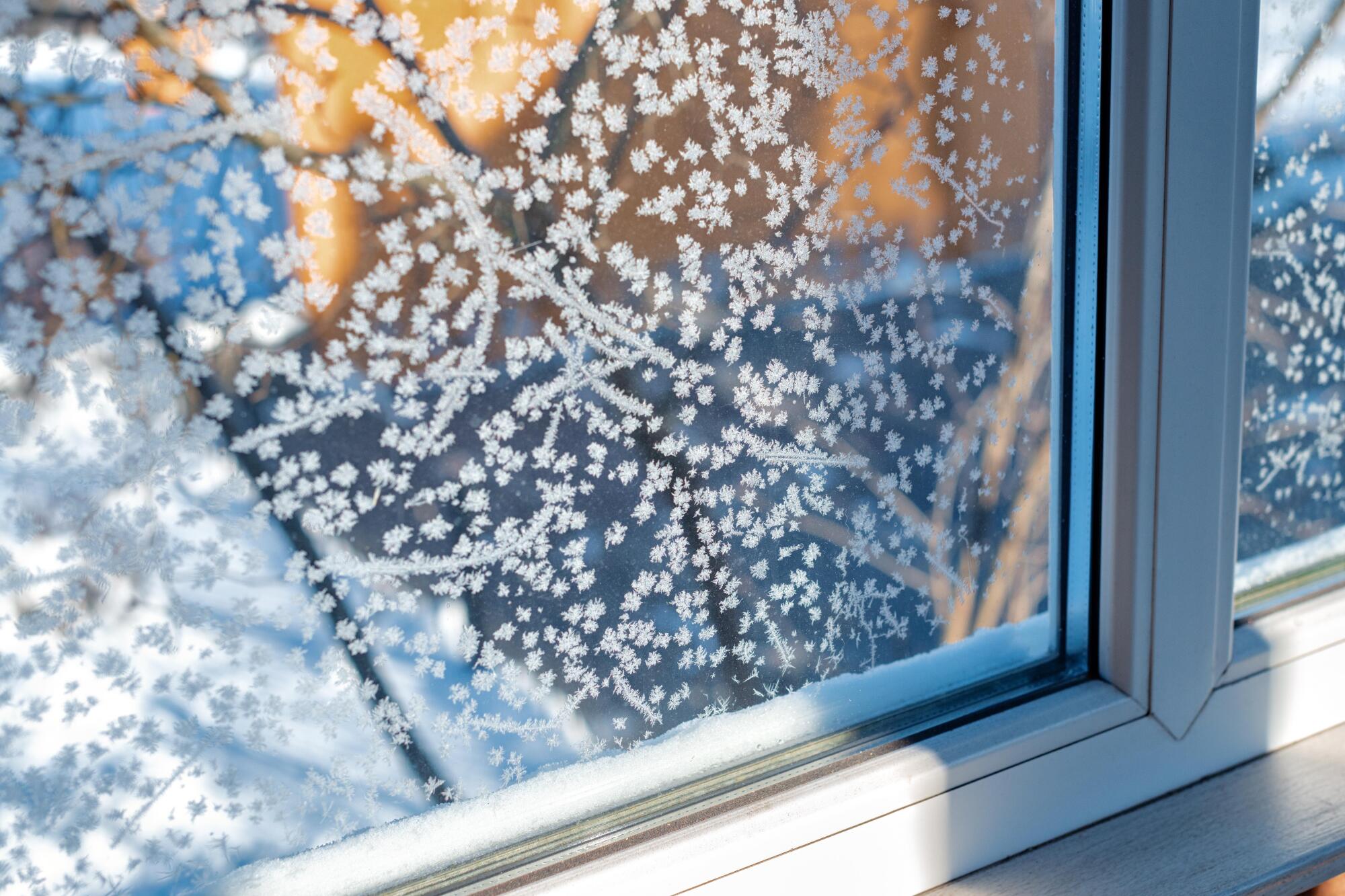 An icy window