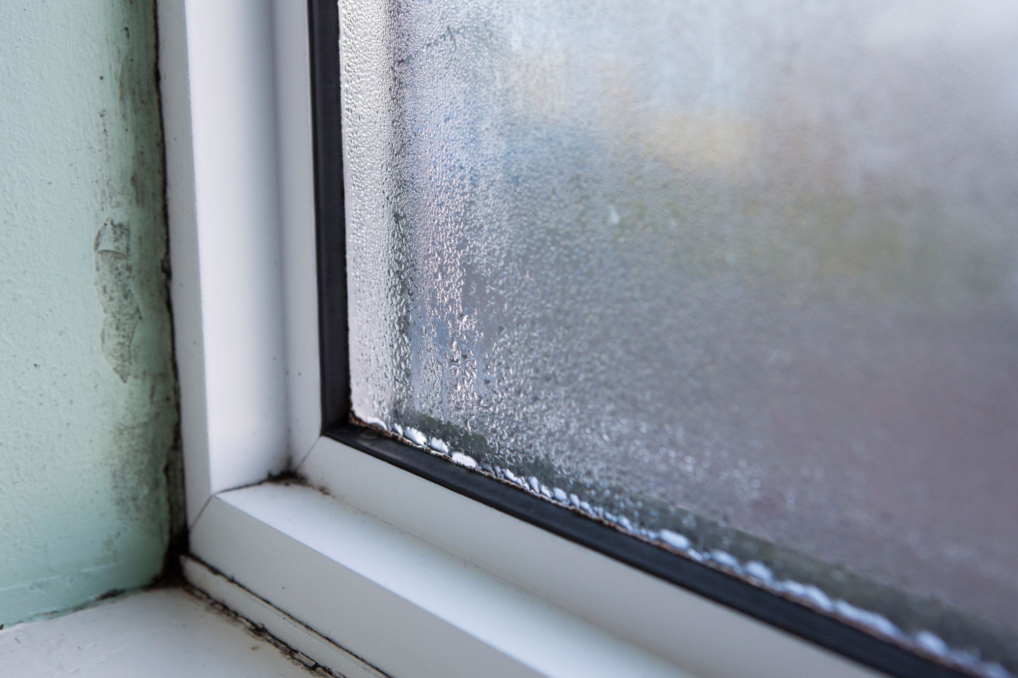 A damaged window lets moisture and mold through