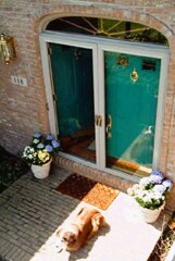 Teal front door installation by Fairview Home Improvement in Cleveland, Ohio area